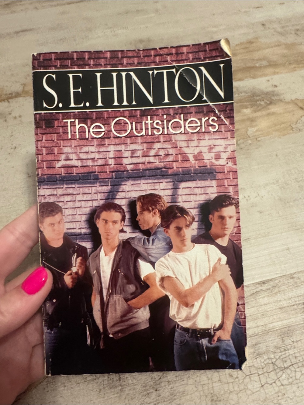 S.E. Hinton The Outsiders Paperback - Pink Brick Cover